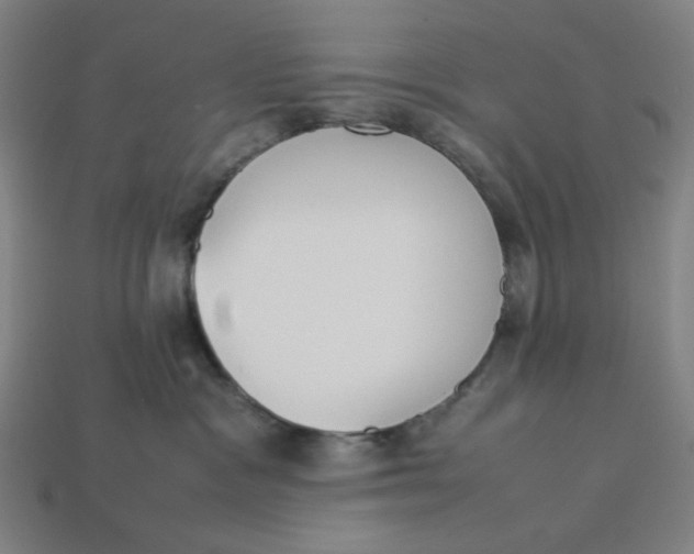 X0000113350333200910061024