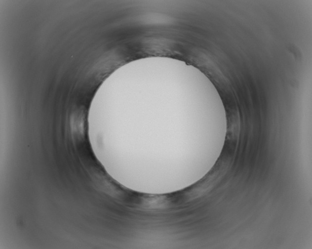 X0000113350334200910061024