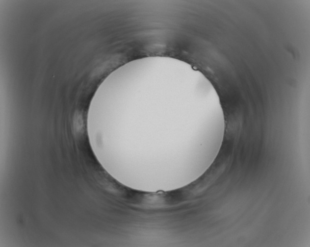 X0000113350335200910061024