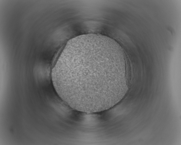 X0000113350336200910061024