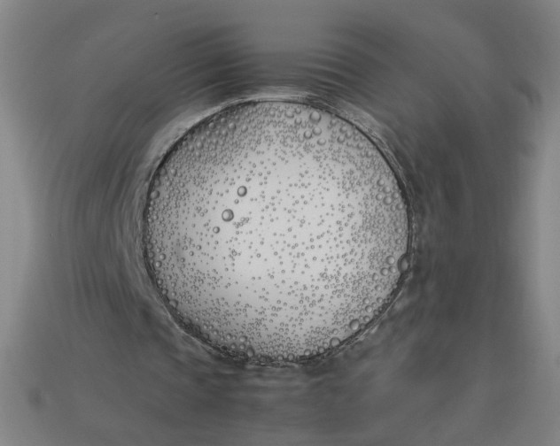 X0000113350337200910061023