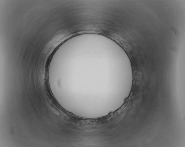 X0000113350338200910061023