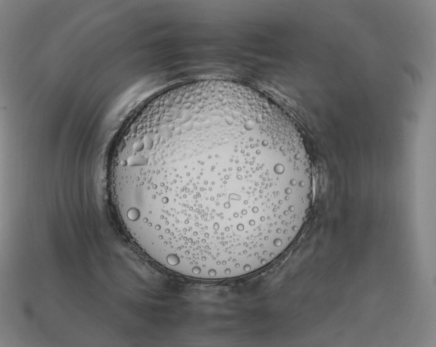 X0000113350339200910061023