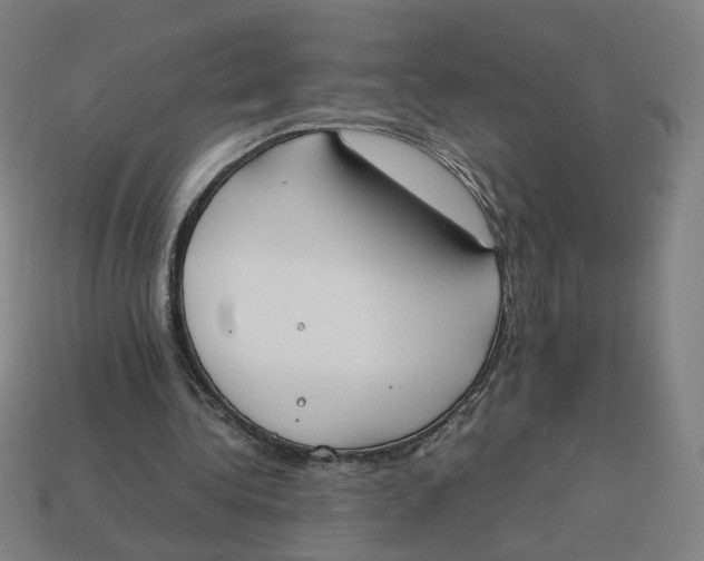 X0000113350340200910061023