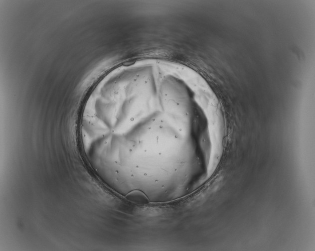 X0000113350341200910061023