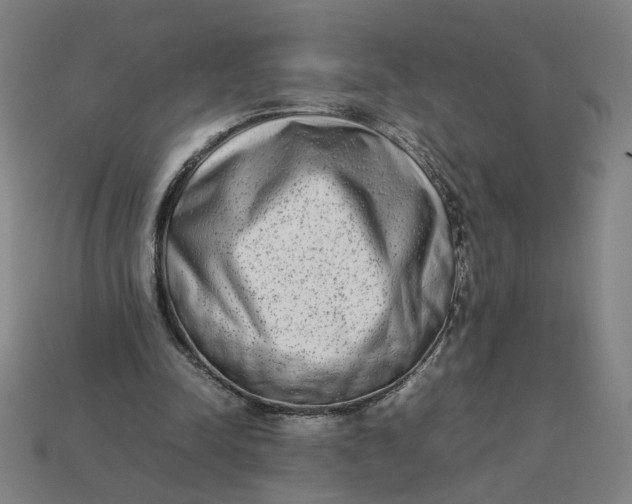 X0000113350342200910061023