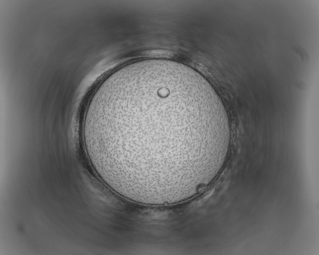 X0000113350343200910061023