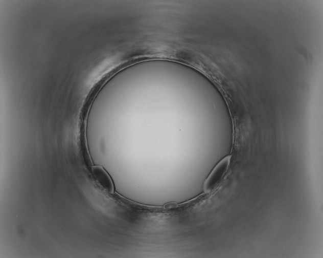 X0000113350344200910061023