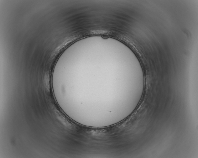 X0000113350345200910061023