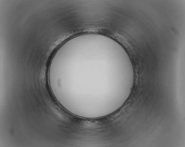 X0000113350346200910061023