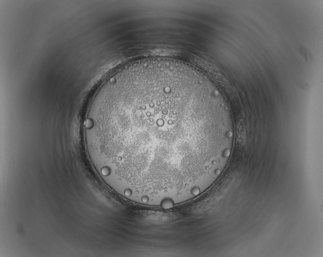 X0000113350347200910061023