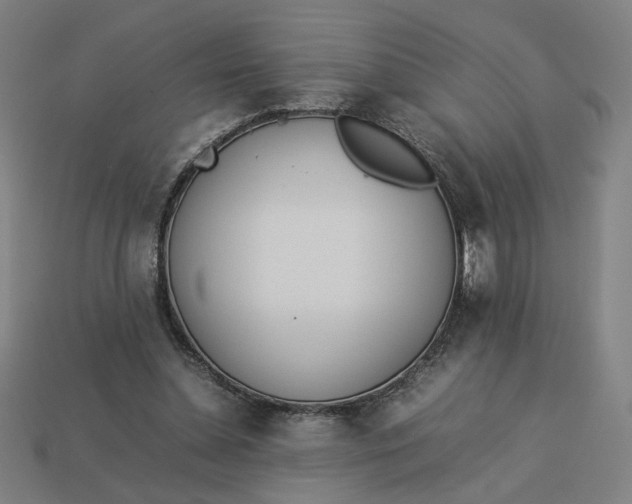 X0000113350348200910061023