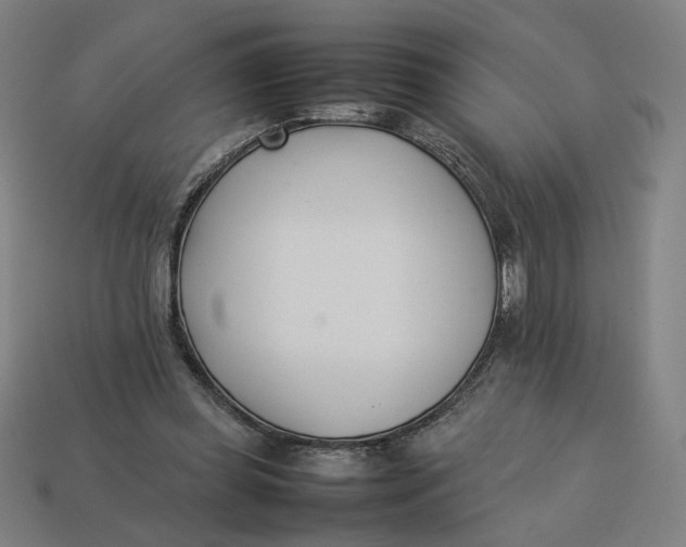 X0000113350349200910061023