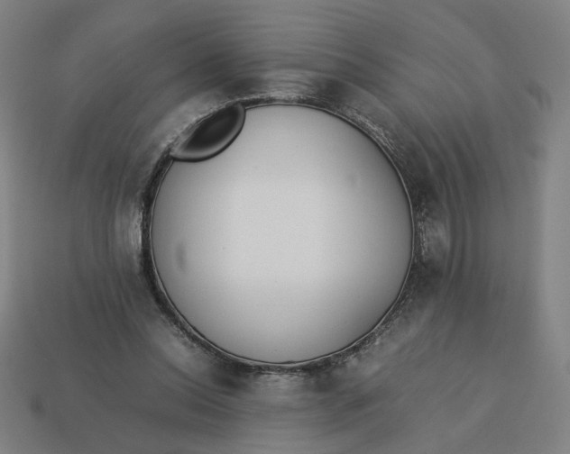 X0000113350350200910061023