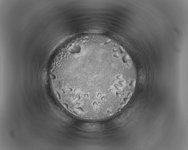 X0000113350351200910061023