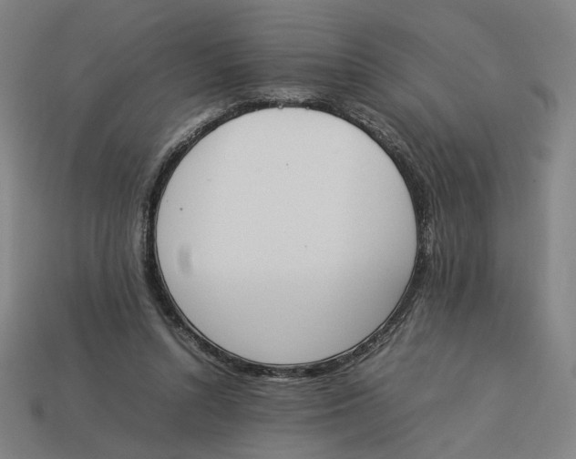 X0000113350352200910061023