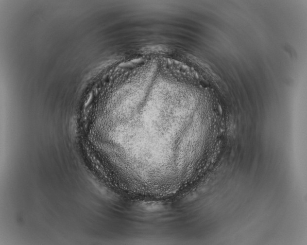 X0000113350353200910061023