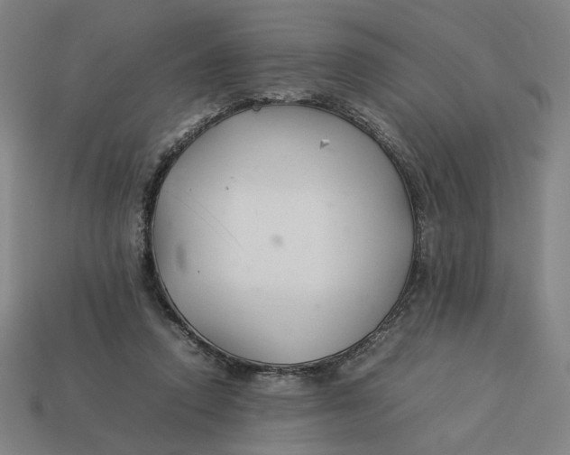 X0000113350354200910061023