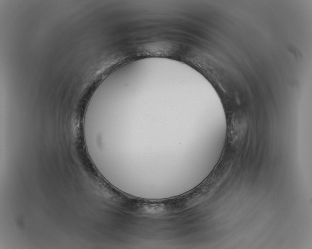 X0000113350355200910061023