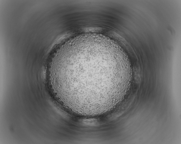 X0000113350357200910061023