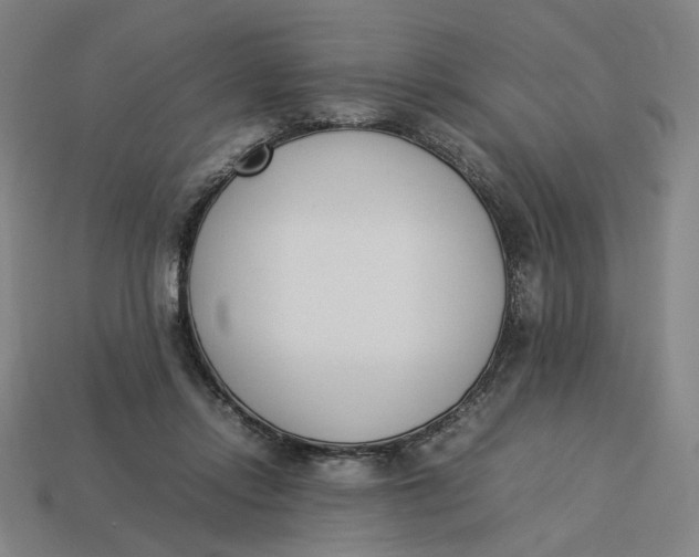 X0000113350358200910061024