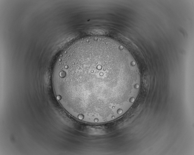 X0000113350359200910061024