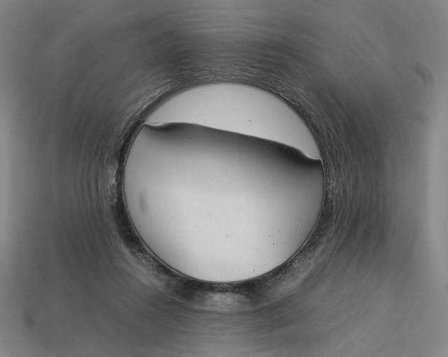 X0000113350360200910061024