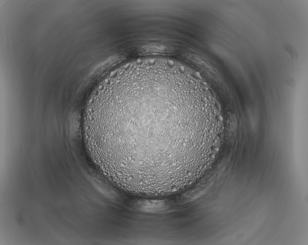 X0000113350361200910061024