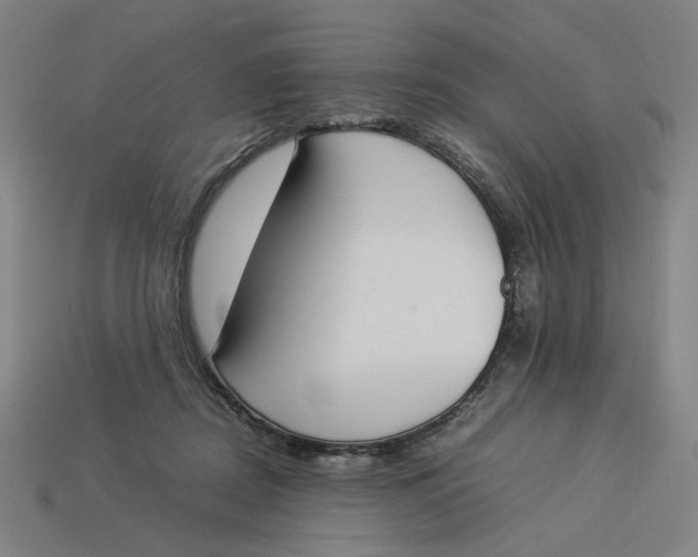 X0000113350362200910061024