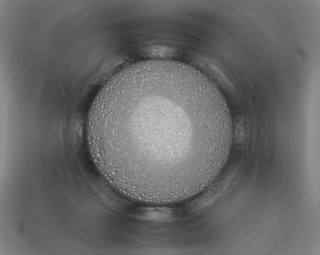 X0000113350363200910061024