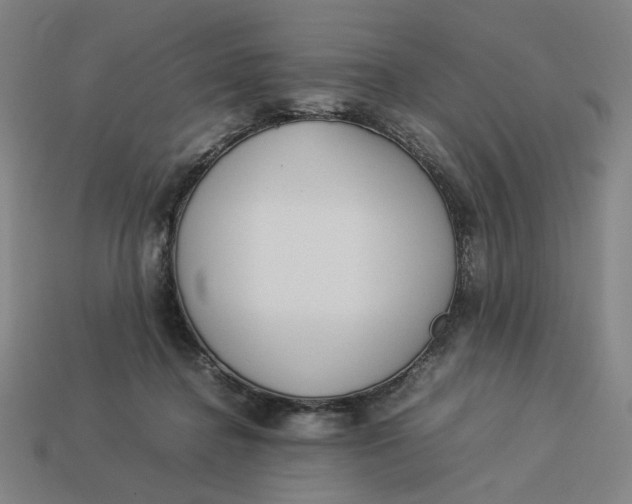 X0000113350364200910061024