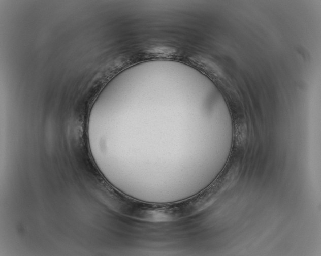 X0000113350365200910061024