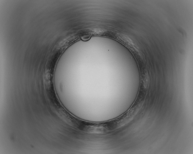 X0000113350366200910061024