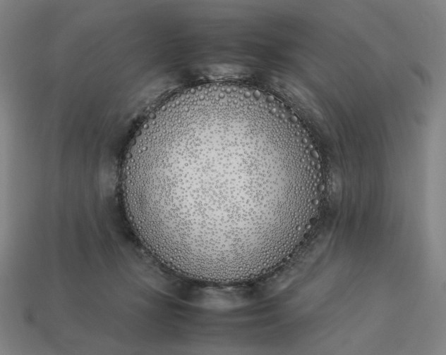 X0000113350367200910061024