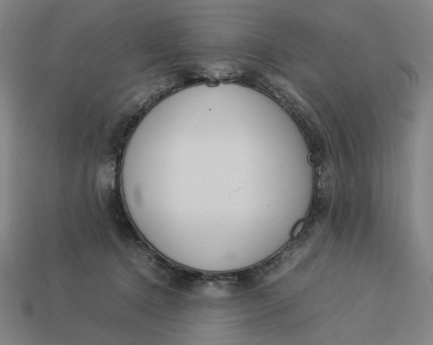 X0000113350368200910061024