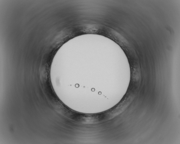 X0000113350370200910061024