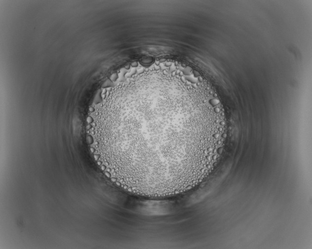 X0000113350371200910061024