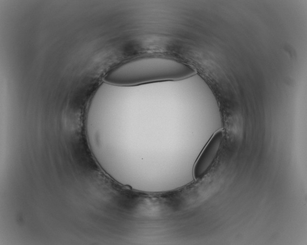 X0000113350372200910061024