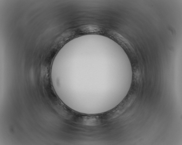 X0000113350373200910061024