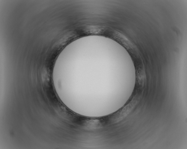 X0000113350374200910061024