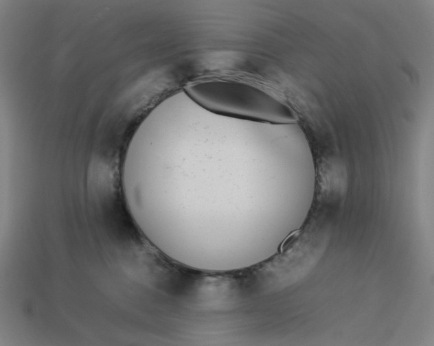 X0000113350376200910061024