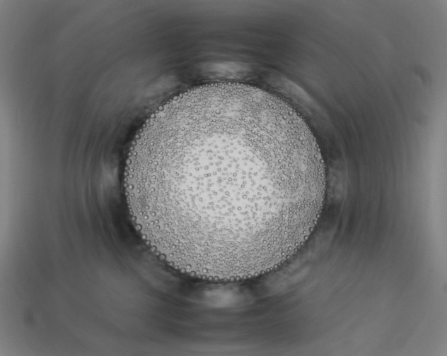 X0000113350377200910061024