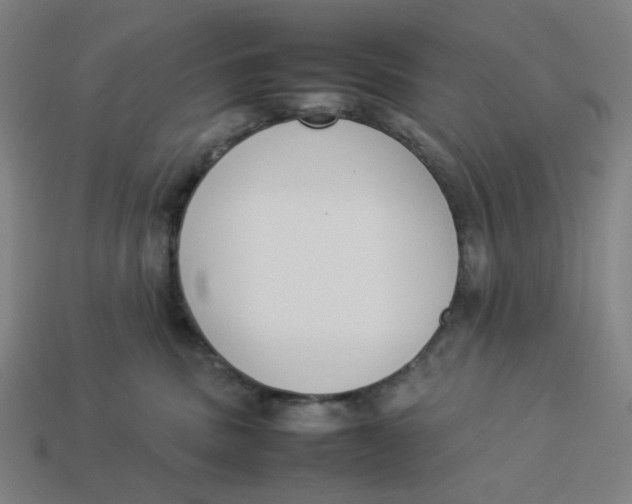 X0000113350379200910061024