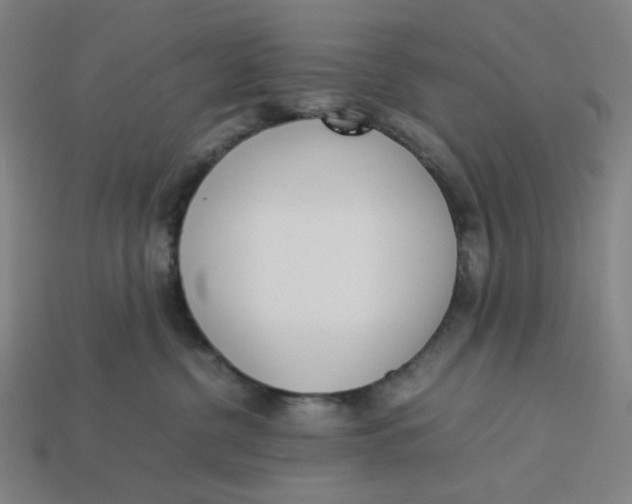 X0000113350380200910061024