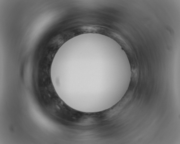 X0000113350381200910061024