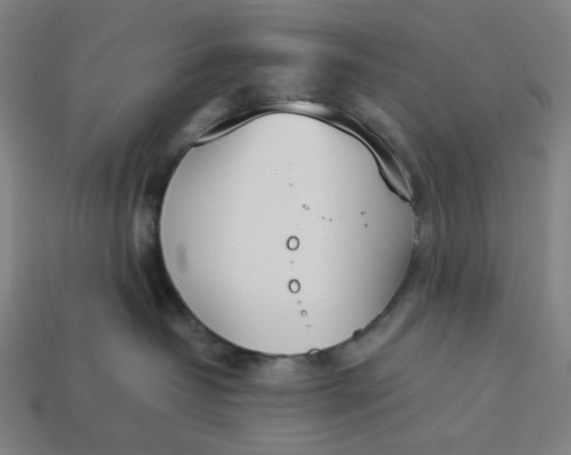 X0000113350382200910061024