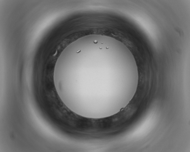 X0000113350383200910061024