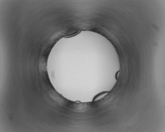 X0000113350384200910061024