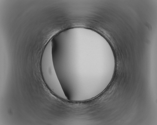 X0000113350385200910061023