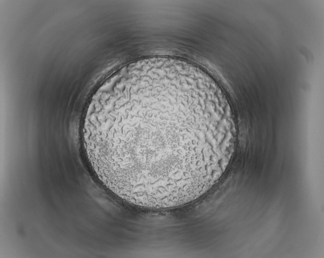 X0000113350386200910061023